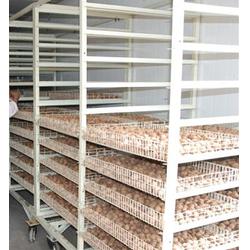 新疆农副产品烘干新选择 亿能干燥设备助力产业升级