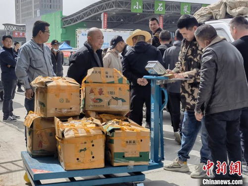 北京新发地市场助力青海农副产品进京销售