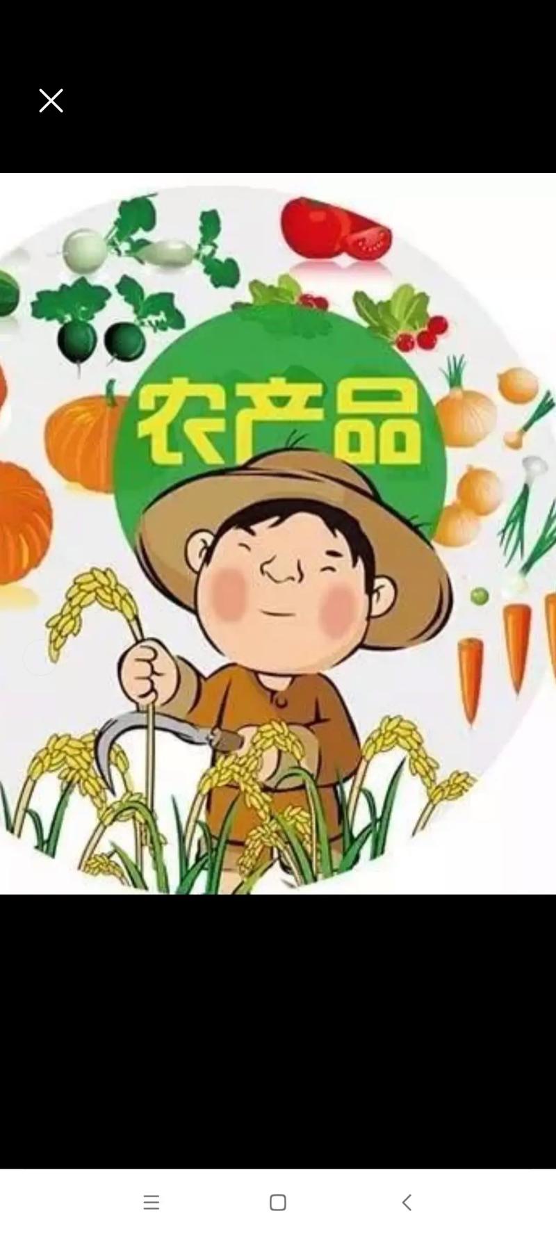 农产品和农副产品的区别农产品和农副产品都是与农业相关的概念 - 抖